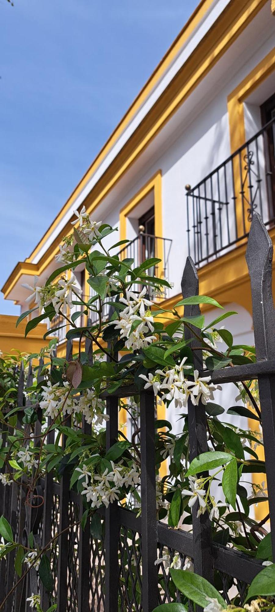 Villa Marcel Jerez de la Frontera Buitenkant foto