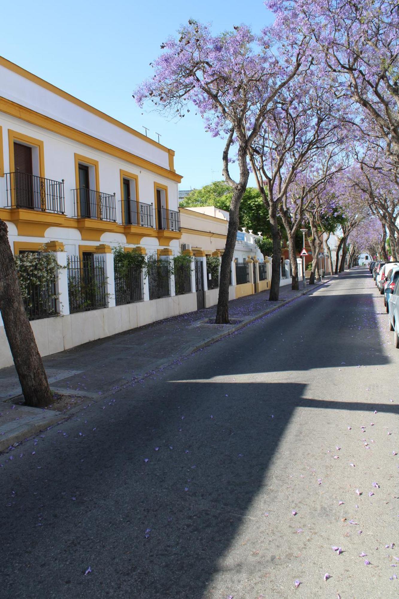 Villa Marcel Jerez de la Frontera Buitenkant foto