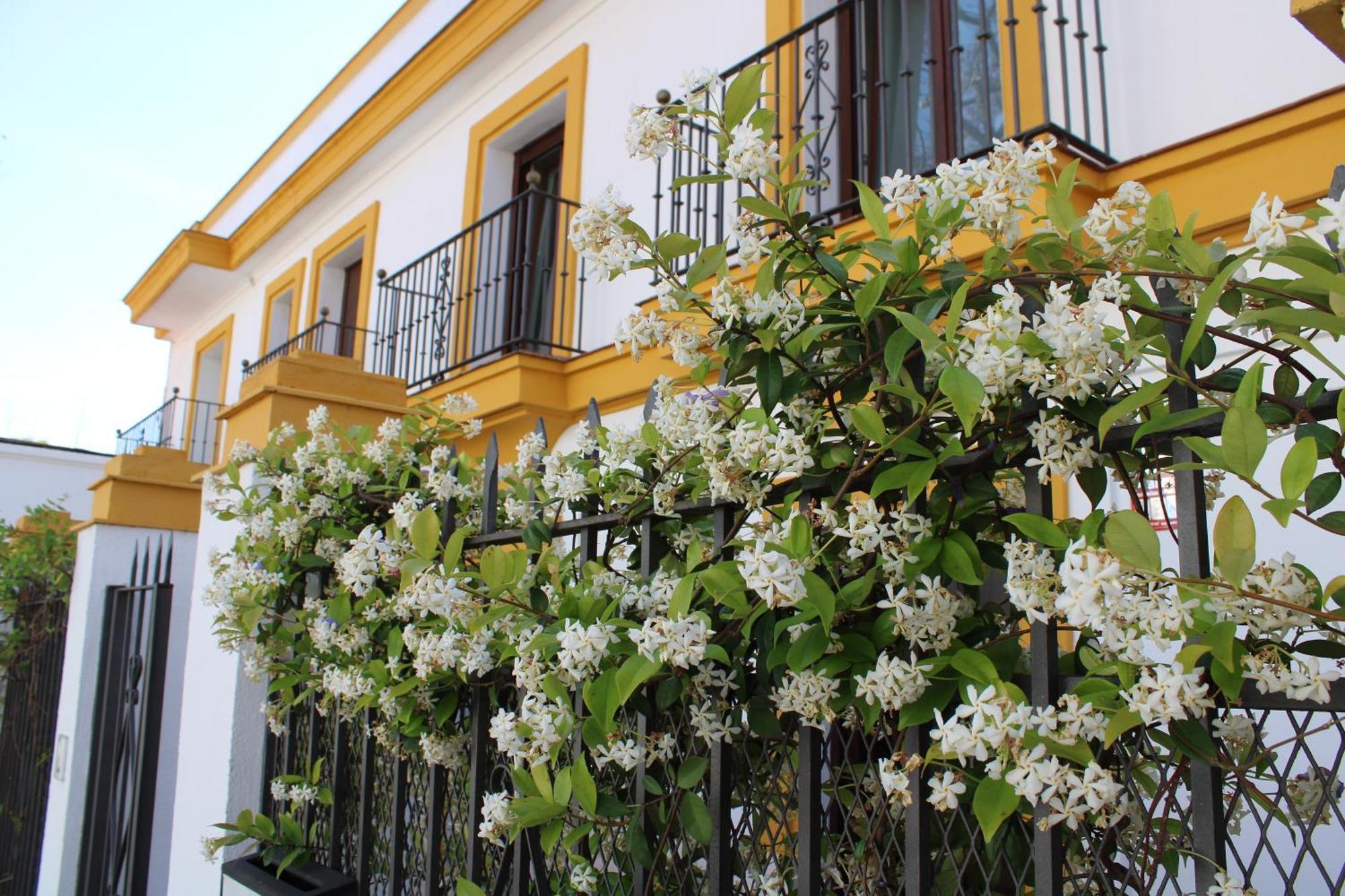 Villa Marcel Jerez de la Frontera Buitenkant foto